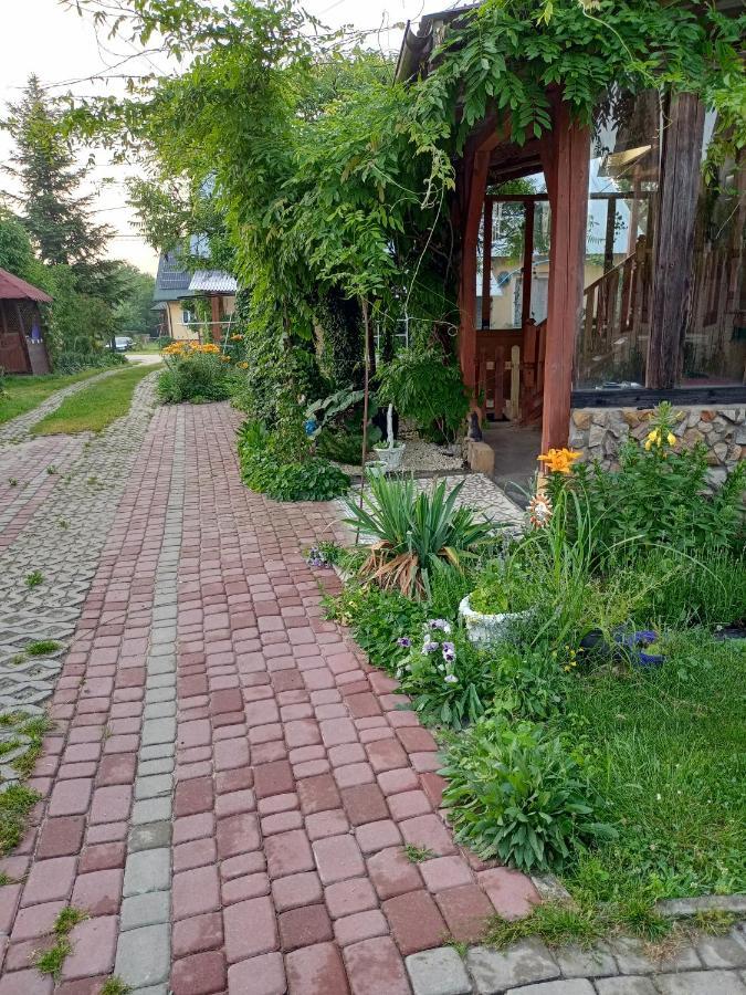 Agroturystyka "Pod Bluszczem" Krasnobrod Exterior photo